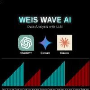 Weis Wave AI