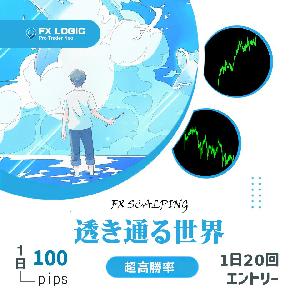 透き通る世界FXロジック