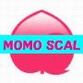momo scal Tự động giao dịch