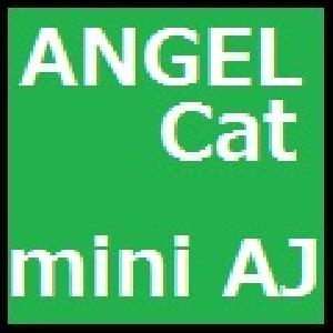 ANGEL_Cat_mini_AJ