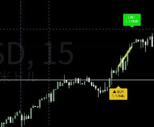 Trade History Visualizer