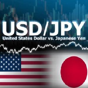 USD/JPY専用 ダウ理論 FX MT4自動売買EA