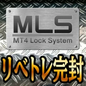 MT4 Lock System