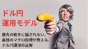 『ドル円・相関の極致 ― マクロ指標から導き出す「後出しジャンケン」の投資戦略 ―』