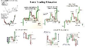 外国為替取引教育 投資ナビ＋