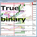 高勝率バイナリーオプション手法　True_binary インジケーター・電子書籍