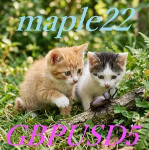 Maple22GBPUSD