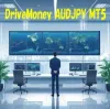 DriveMoney AUDJPY MT5