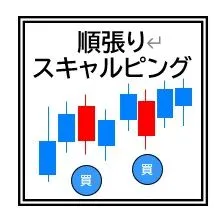 トレンドフォロースキャルピングタイプ２