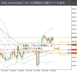 SGD_HLineLabel（MT5）