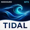 NODOGURO TIDAL｜CADJPY D1 MT5