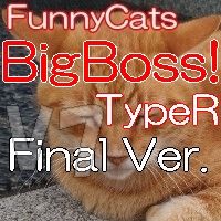 FC_BigBoss!_TypeR Tự động giao dịch