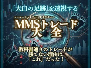 MMSトレード大全　ー個人投資家が陥る「構造的罠」の正体と「大口の足跡」を透視するマーケットマイクロストラクチャー分析ー