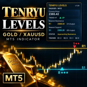 TENRYU LEVELS