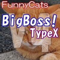 FC_BigBoss!_TypeX 自動売買