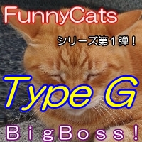FC_BigBoss!_TypeG 自動売買