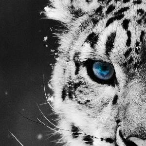 虎之介フォワード計測（狭スプレッド）