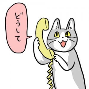 Peace HFM Demo 2000ドル