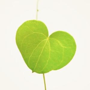 Again USDJPY M1 Demo