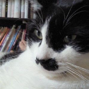 S平均足スムーズド裁量