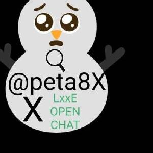 バハムート8X 堅牢システムトレードEA