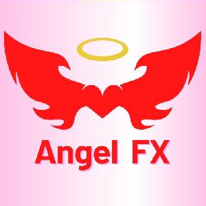 Angel FX 2024/8~12
