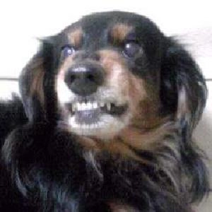 市販EAの遊び場