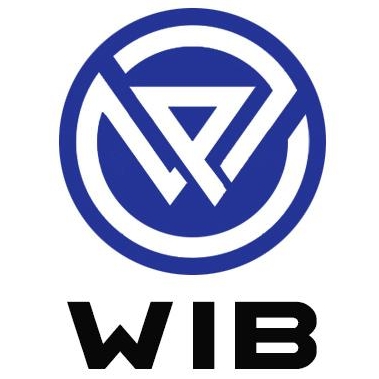 株式会社WIB