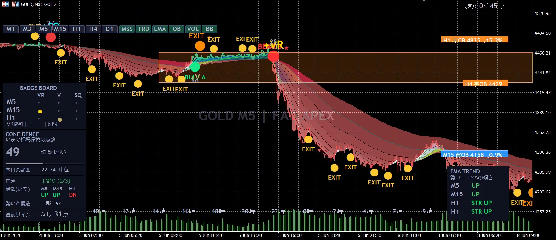 FAD APEX のチャート表示例（GOLD M5）
