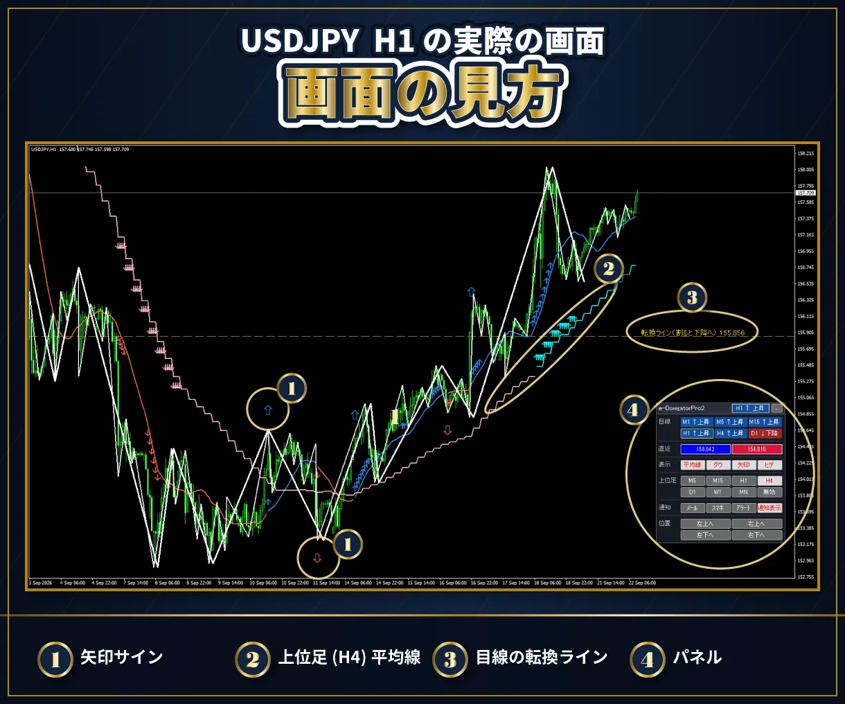 画面の見方 ドル円