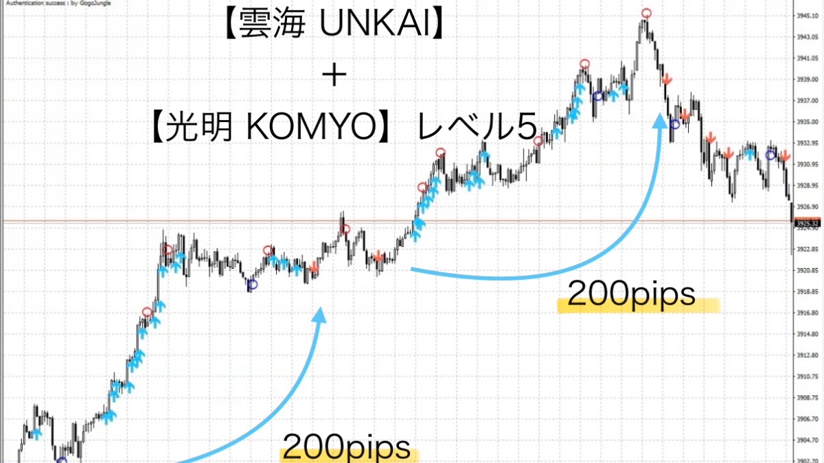【雲海 UNKAI】×【光明 KOMYO】